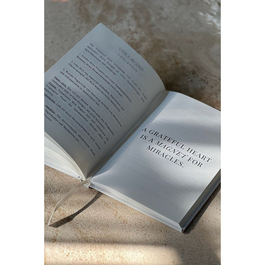 Manifestation Journal